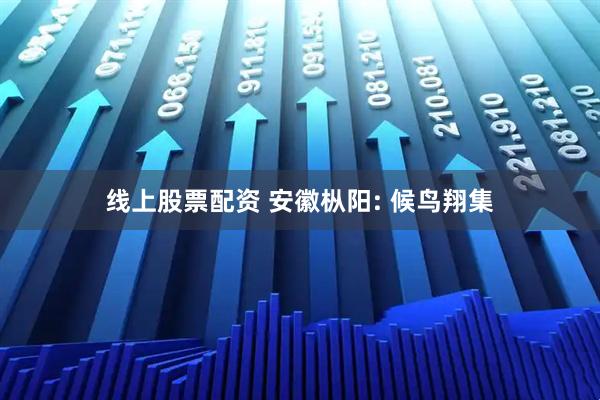 线上股票配资 安徽枞阳: 候鸟翔集