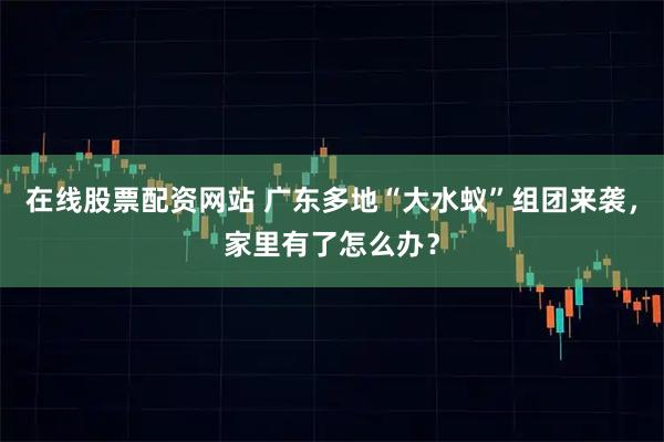 在线股票配资网站 广东多地“大水蚁”组团来袭，家里有了怎么办？